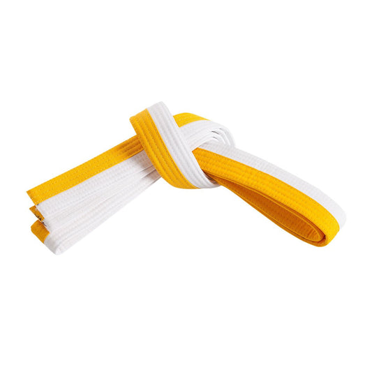 Double Wrap Two Tone Belt