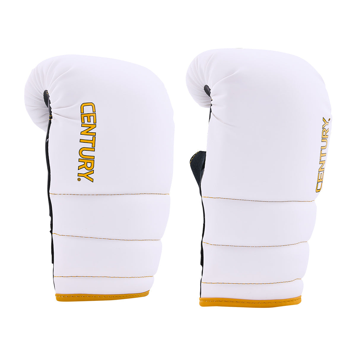 Partner Training Combo